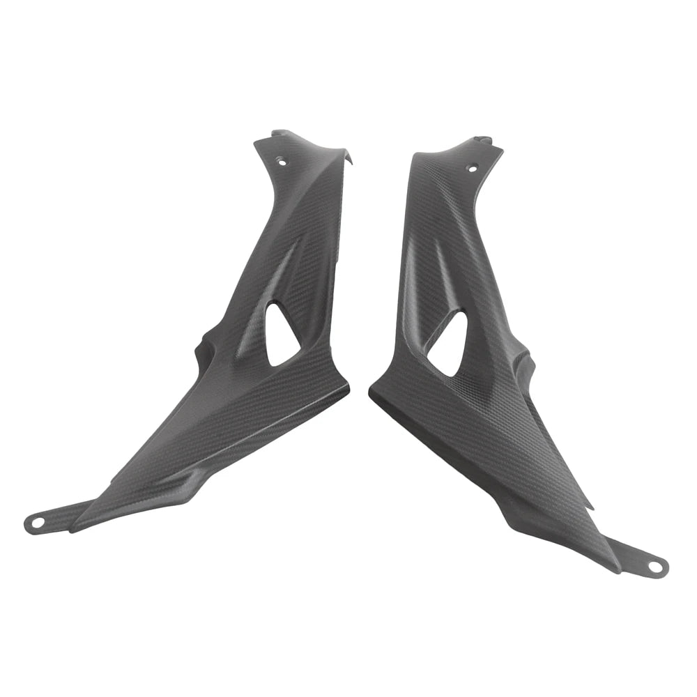Carbon Seitenverkleidung unter Tank passend für BMW S1000RR 2015-2019 & S1000R 2014-2018