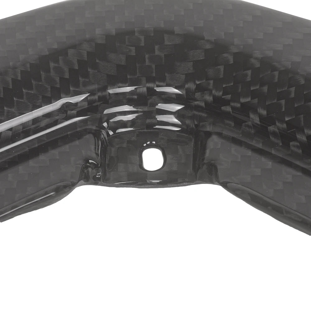 Carbon Heckverkleidung passend für BMW S1000RR 2023-