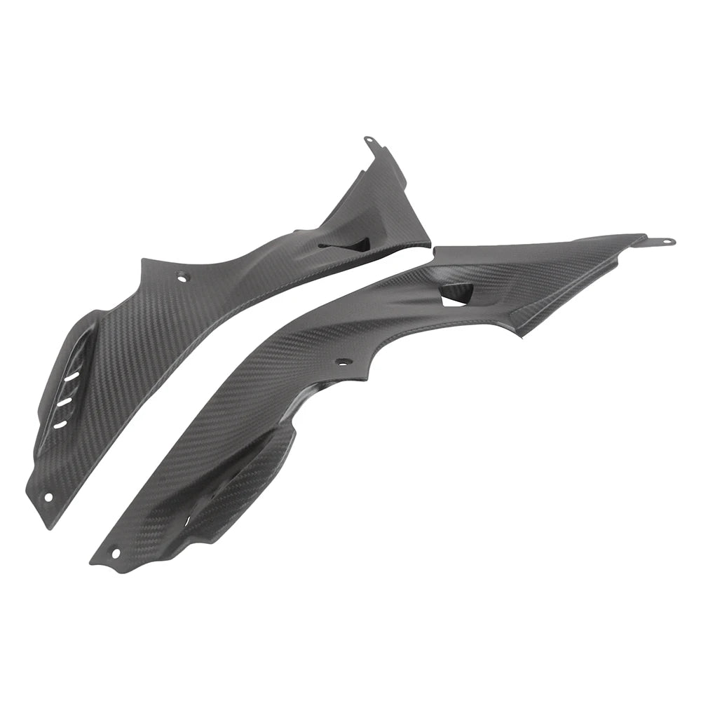 Carbon Seitenverkleidung unter Tank passend für BMW S1000RR 2015-2019 & S1000R 2014-2018