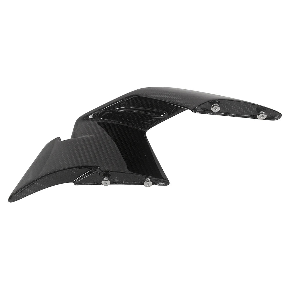 Carbon Winglets passend für BMW S1000RR & M1000RR 2019-