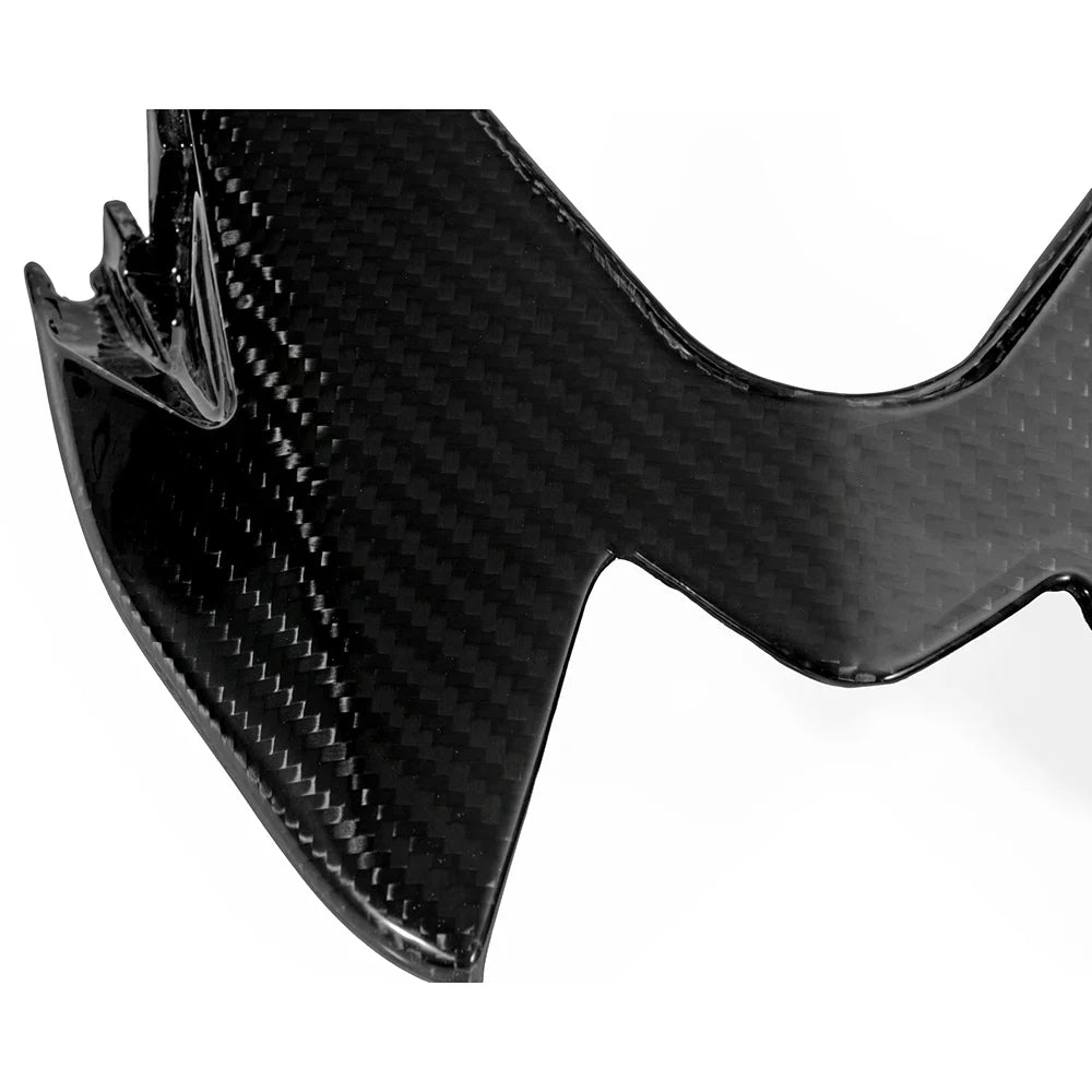 Carbon Heckverkleidung passend für BMW S1000RR 2015-2018
