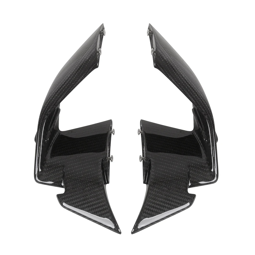Carbon Winglets passend für BMW S1000RR & M1000RR 2019-