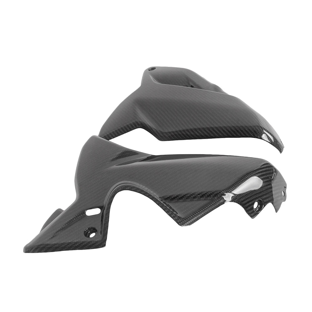Carbon Untere Seitenverkleidung passend für Ducati Diavel V4 2023-