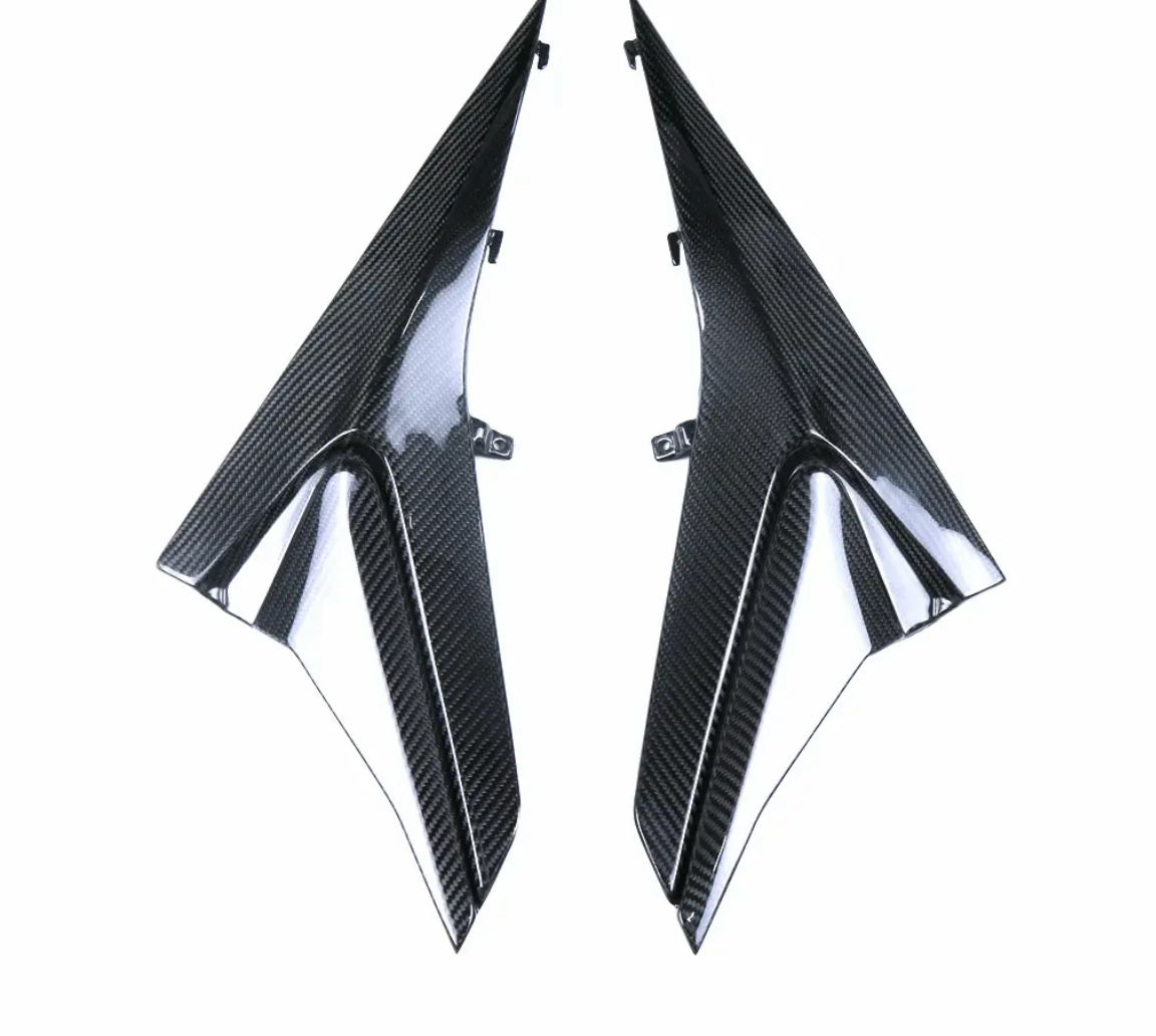 Carbon Seitenverkleidung Hinten passend für Aprilia RS660