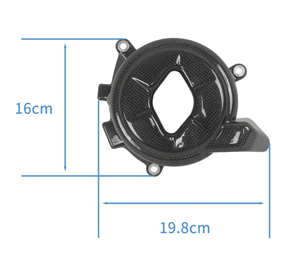 Carbon Motorabdeckung passend für Ducati Panigale V4 V4S
