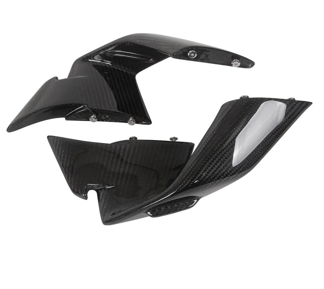Carbon Winglets passend für BMW S1000RR & M1000RR 2019-