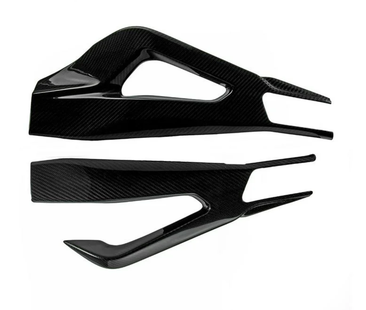 Carbon Schwingenverkleidung passend für BMW S1000RR 2019- & M1000RR 2021- & S1000R 2021-