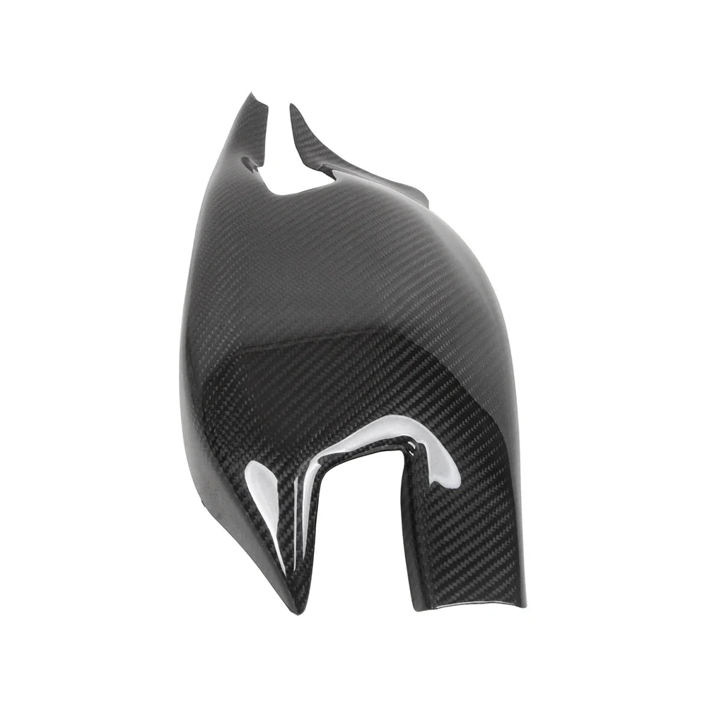 Carbon Schwingenverkleidung passend für Ducati 1098 / 1198 / 848