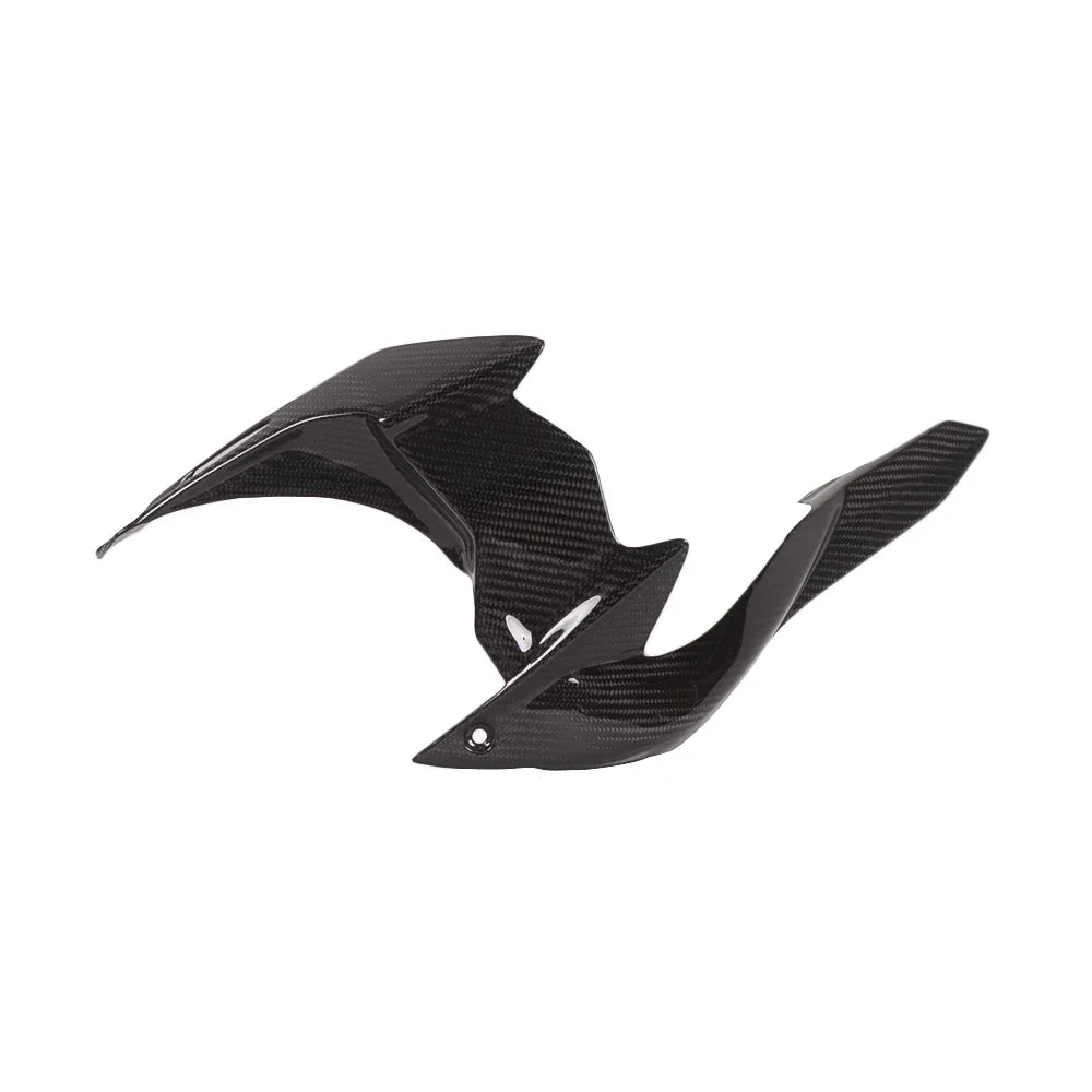 Carbon Hinteres Schutzblech passend für Kawasaki Ninja H2 2015+ / H2R 2015+