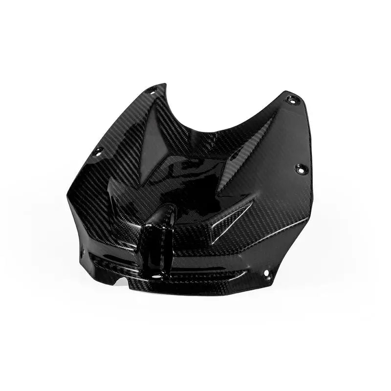 Carbon Tankverkleidung passend für BMW S1000RR 2009-2014