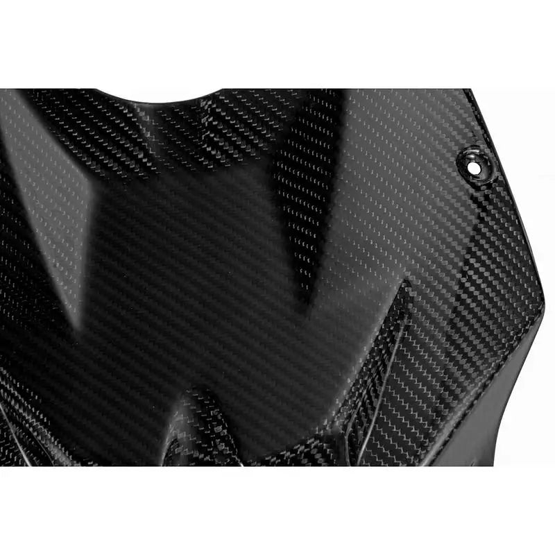 Carbon Tankverkleidung passend für BMW S1000RR 2009-2014