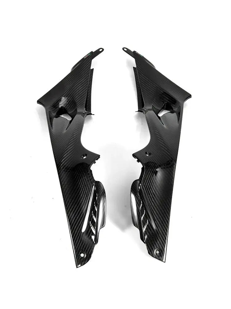 Carbon Seitenverkleidung unter Tank passend für BMW S1000RR 2015-2019 & S1000R 2014-2018