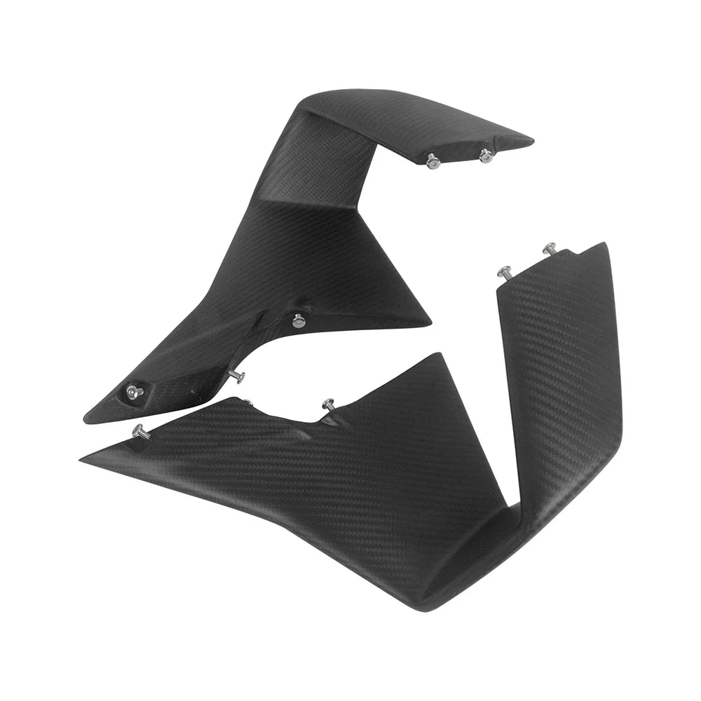 Carbon Winglets passend für BMW M1000RR 2023-