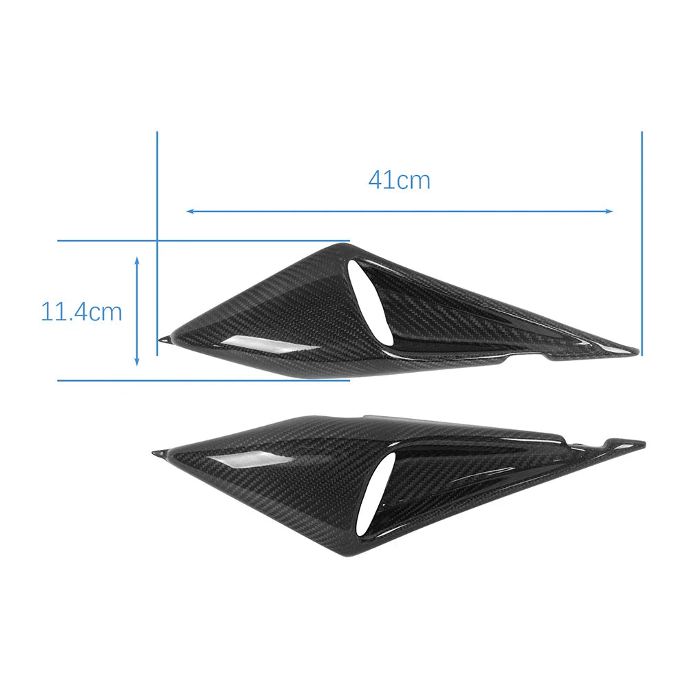 Carbon Lufteinlässe passend für Ducati Monster 2000-2008