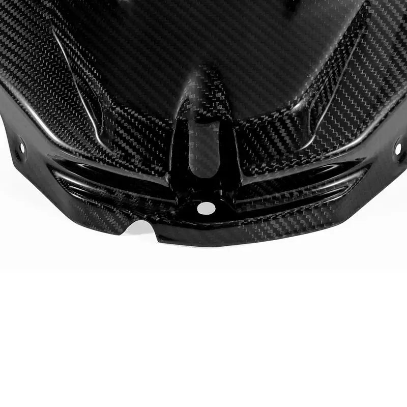 Carbon Tankverkleidung passend für BMW S1000RR 2009-2014