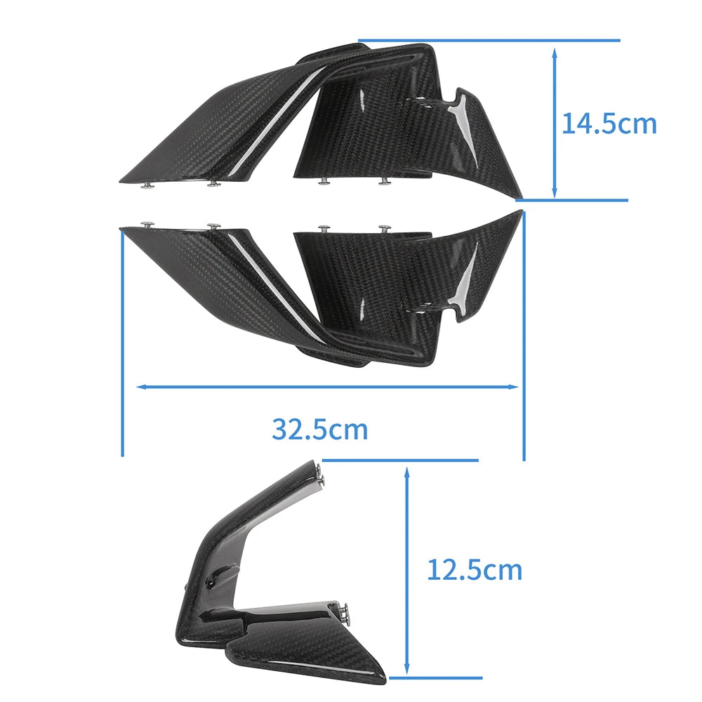 Carbon Winglets passend für BMW S1000RR & M1000RR 2019-