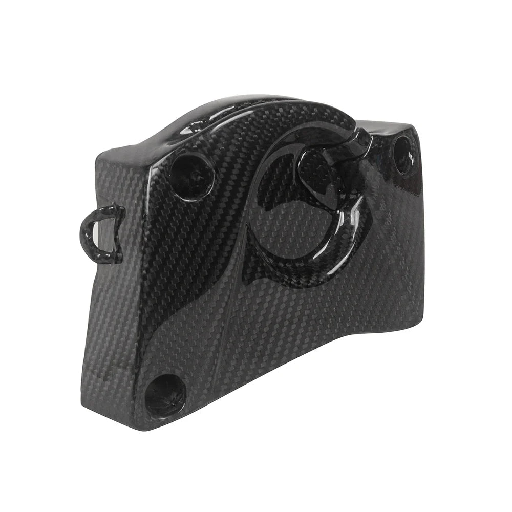Carbon Ritzelabdeckung passend für BMW S1000R 2014-2020