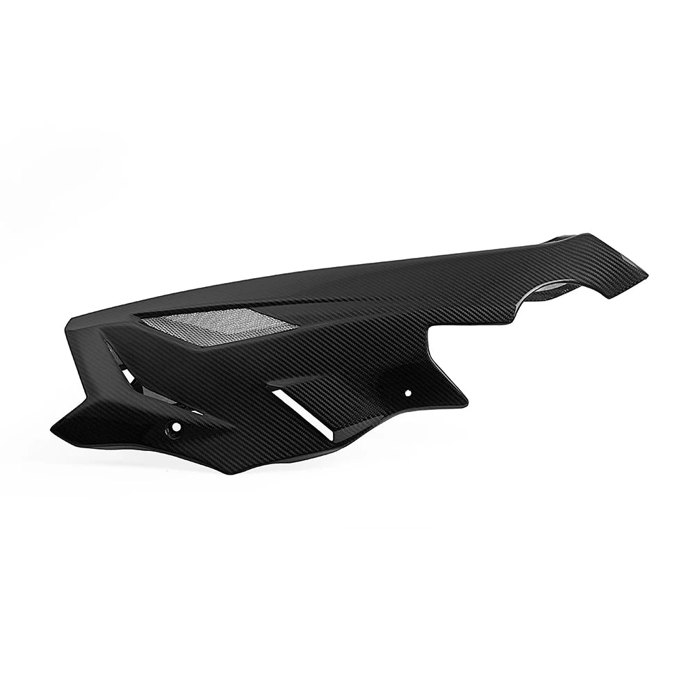 Carbon Bugspoiler passend für BMW S1000R 2014-2016