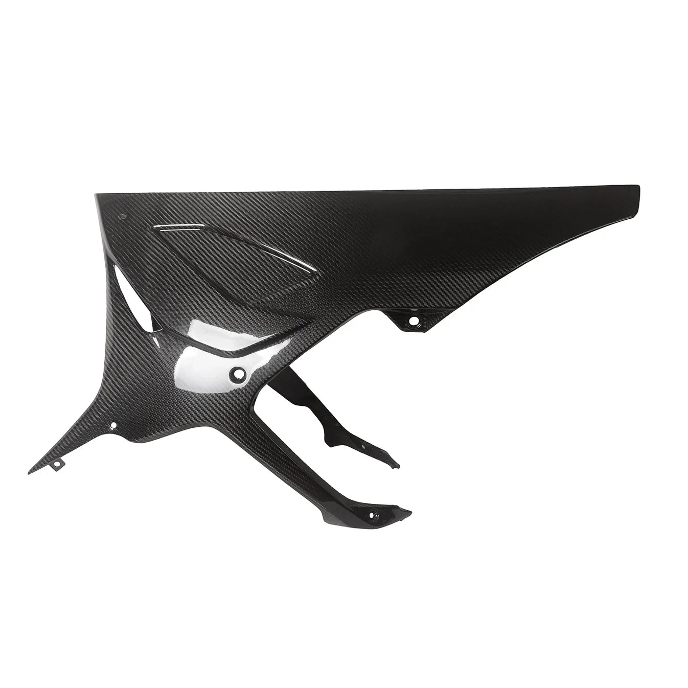 Carbon Bugspoiler passend für BMW S1000RR 2019-