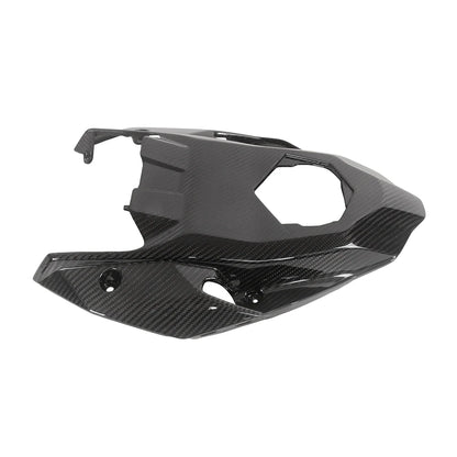 Carbon Heckverkleidung passend für BMW S1000R 2021-