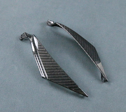 Carbon Seitenverkleidung passend für MV Agusta Superveloce 800 2020-