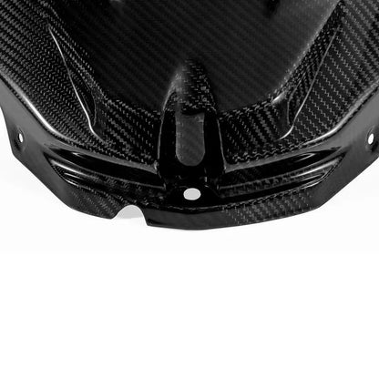Carbon Tankverkleidung passend für BMW S1000RR 2009-2014